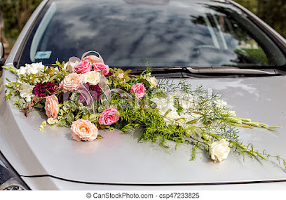 লামিয়া রেন্ট এ কার - 01727329714