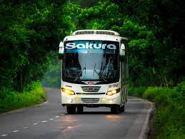 সাকুরা পরিবহন স্বরূপকাঠি কাউন্টার - 01719689455