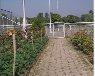 যমুনা রিসোর্ট - 01715852997