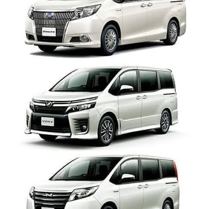 মামুন রেন্ট-এ-কার - 01712777318